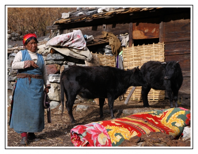 nepal gompa 3813.jpg